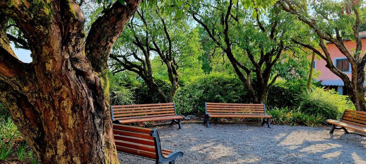Dolce Blu Sirmione Daire Rivoltella del Garda Dış mekan fotoğraf